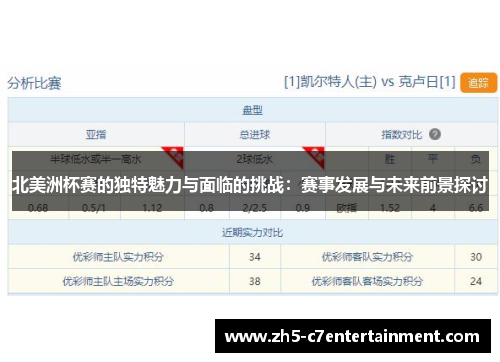 北美洲杯赛的独特魅力与面临的挑战：赛事发展与未来前景探讨