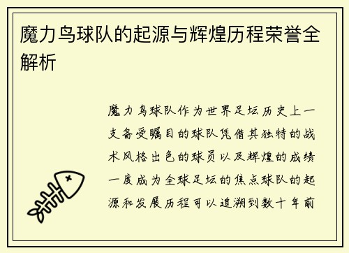 魔力鸟球队的起源与辉煌历程荣誉全解析